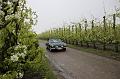 MG Bloesemrit op 24-4-2016 org. Jos&Marie-lou  (97)